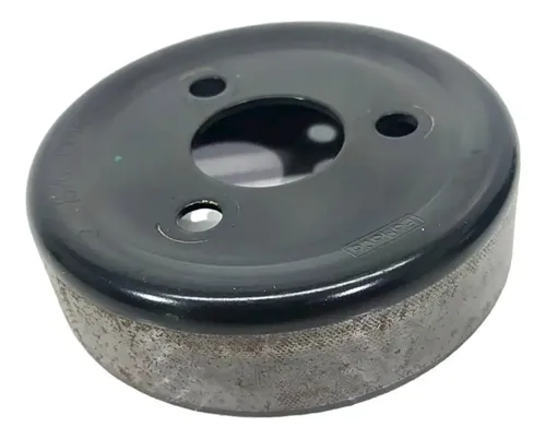 Polia Bomba Água Ford Focus 2.0 16v 2009 Original 114603